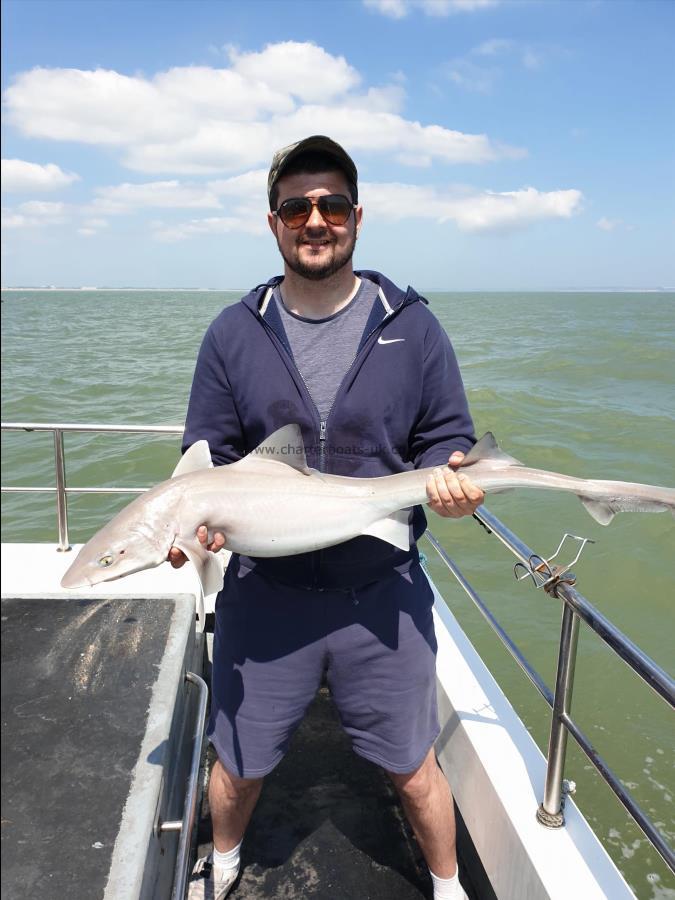 10 lb 8 oz Smooth-hound (Common) by Bob Marshall