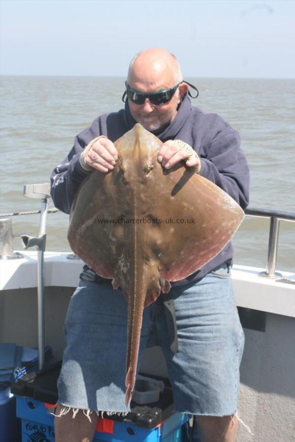12 lb 9 oz Small-Eyed Ray by Pete