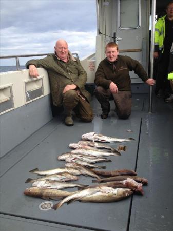 10 lb Cod by Gordon & son from Kelso
