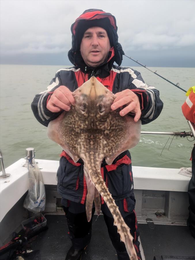 3 lb Thornback Ray by Dave