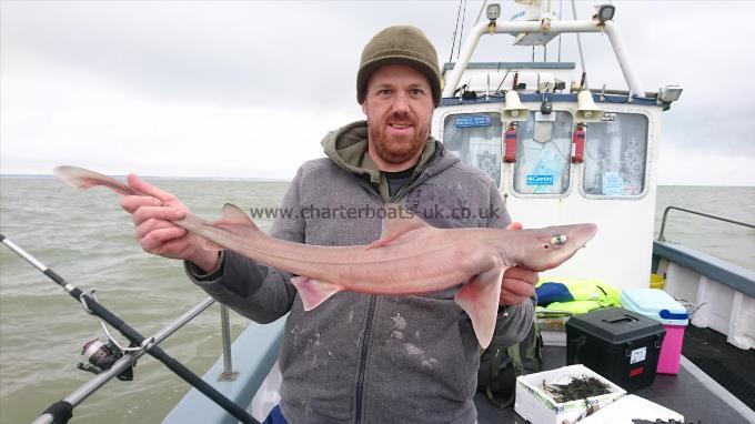 5 lb 4 oz Smooth-hound (Common) by Sean from London