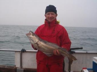 11 lb 2 oz Pollock by Unknown