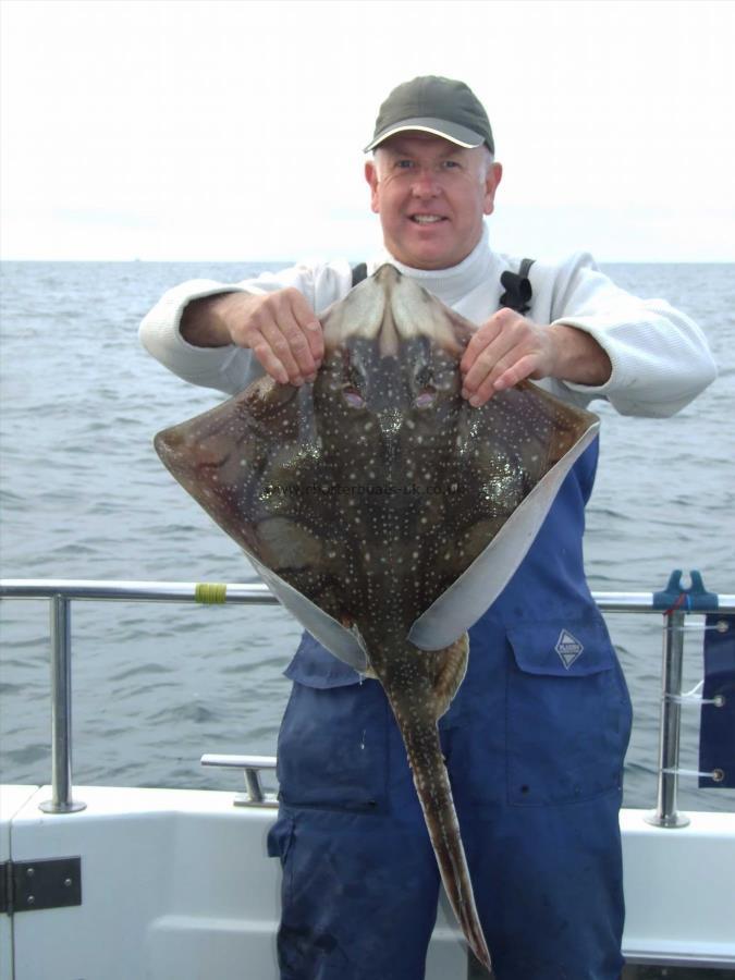 14 lb Undulate Ray by Unknown