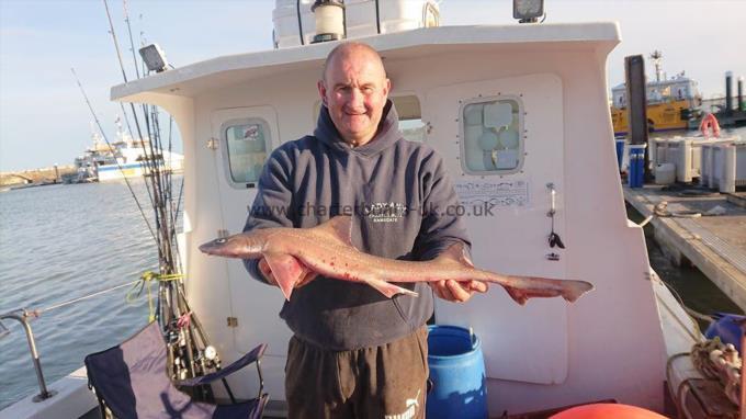 4 lb 6 oz Smooth-hound (Common) by Jason Parrott