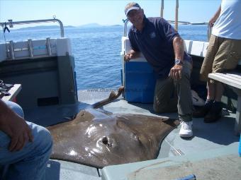 201 lb Common Skate by Paul Coxon