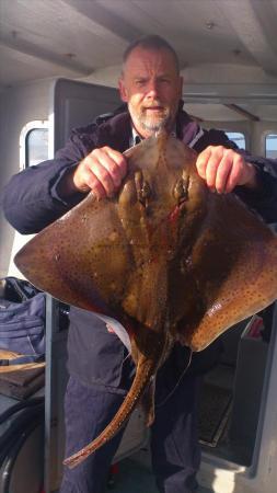 11 lb 12 oz Blonde Ray by chris [lumpy head] braund