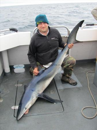 65 lb Blue Shark by guy