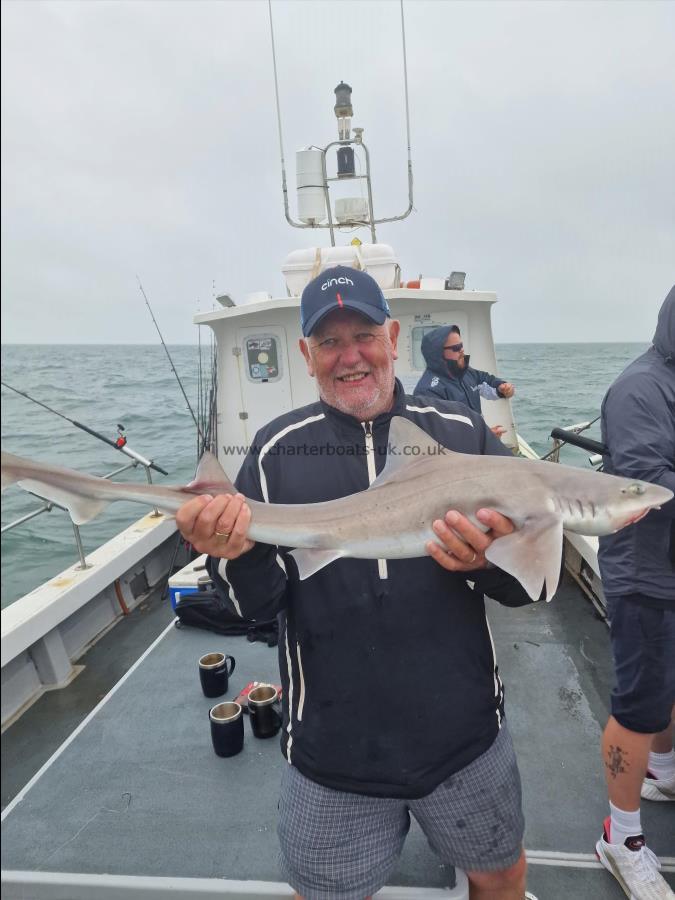 9 lb Starry Smooth-hound by Steve