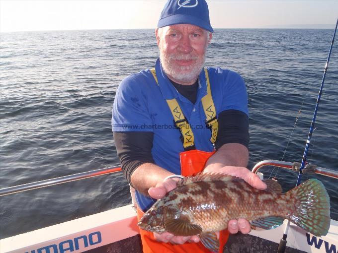 1 lb 7 oz Ballan Wrasse by Graham Stasnsfield.