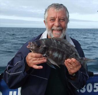 4 lb Black Sea Bream by Geoff Hall