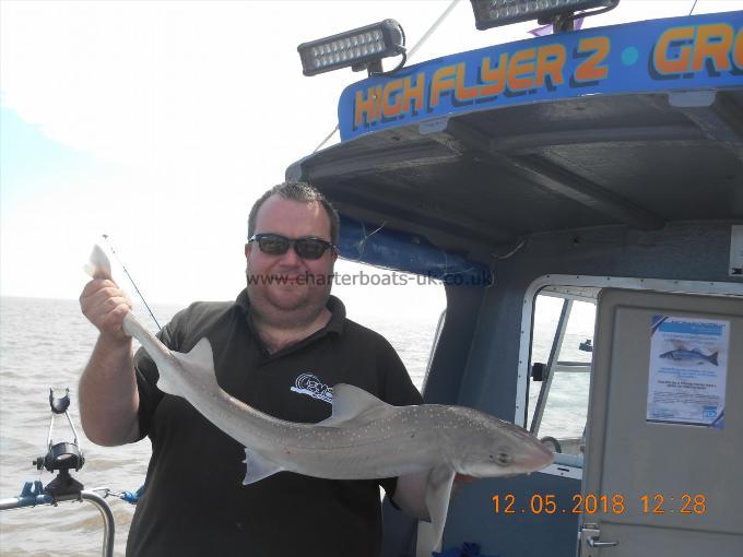 8 lb Starry Smooth-hound by James Taylor
