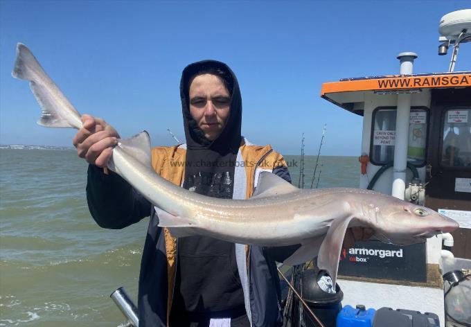 8 lb Smooth-hound (Common) by Unknown