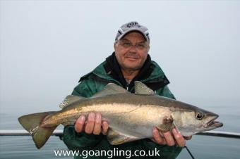 5 lb Pollock by Malcolm