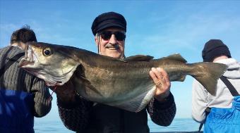 17 lb 3 oz Pollock by Chris 'Bunny' Warner