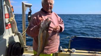 4 lb Pollock by Stephen Wake