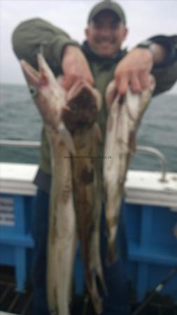 9 lb Ling by J J  from hull with some his catch today 5th sept