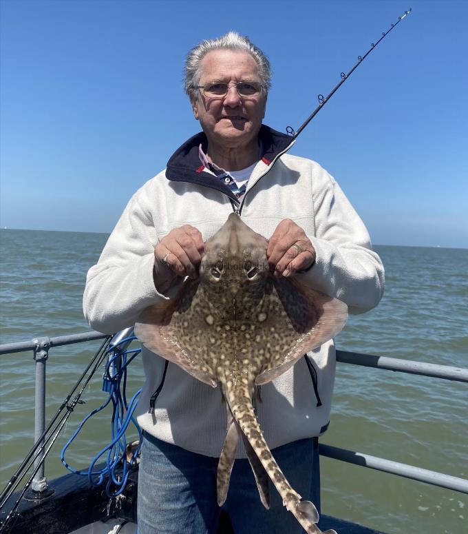 5 lb Thornback Ray by Unknown