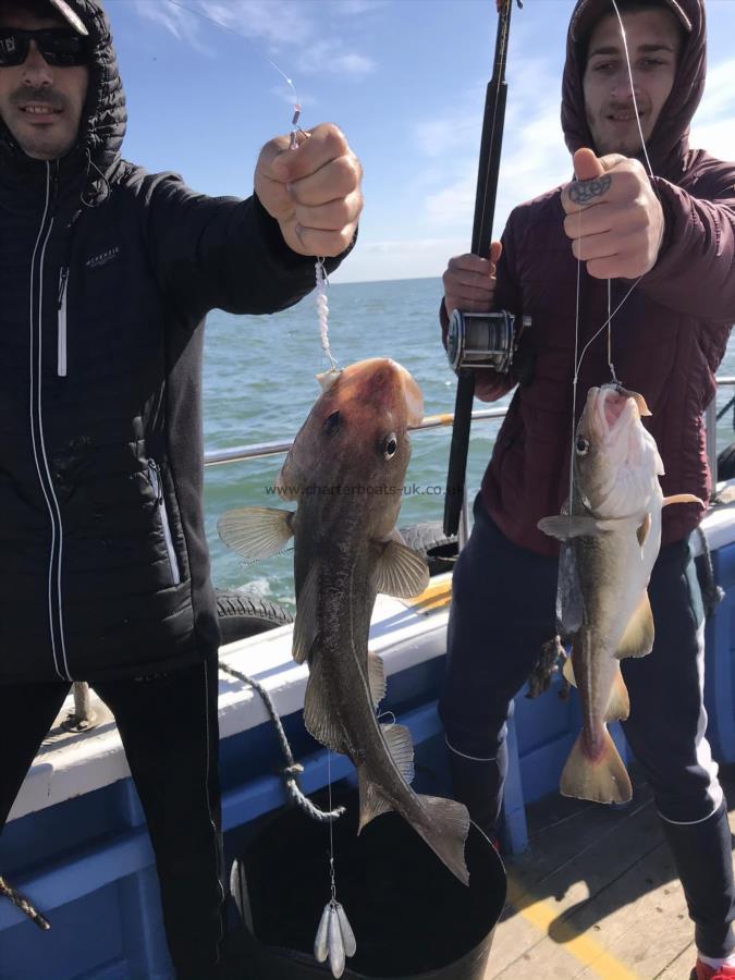 3 lb Cod by Unsure