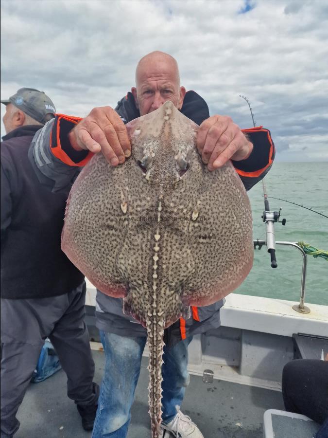 11 lb Thornback Ray by Del