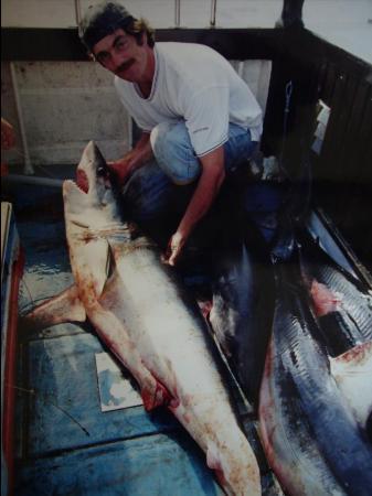 170 lb Porbeagle by Mickey