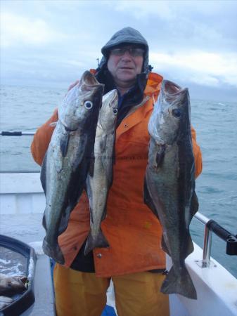 12 lb 6 oz Pollock by Roy