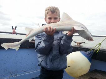 7 lb 3 oz Starry Smooth-hound by Max