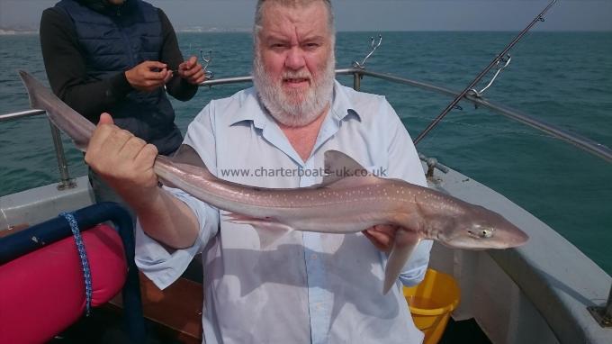 4 lb 2 oz Smooth-hound (Common) by John Flight