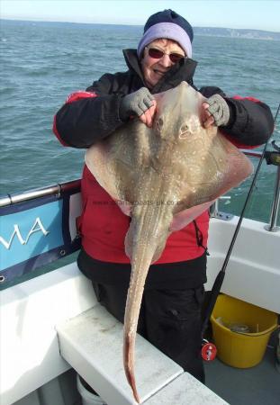 15 lb Undulate Ray by Denise Youngs