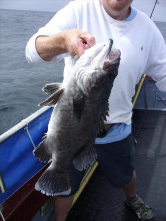 6 lb 8 oz Wreckfish (Stone Bass) by Steve