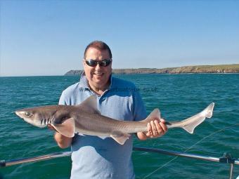 10 lb Starry Smooth-hound by Stu Whittle