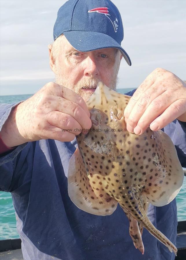 3 lb Spotted Ray by stewart