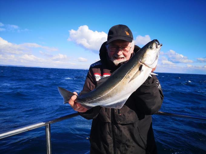 6 lb Coalfish (Coley/Saithe) by Pat Meeghan