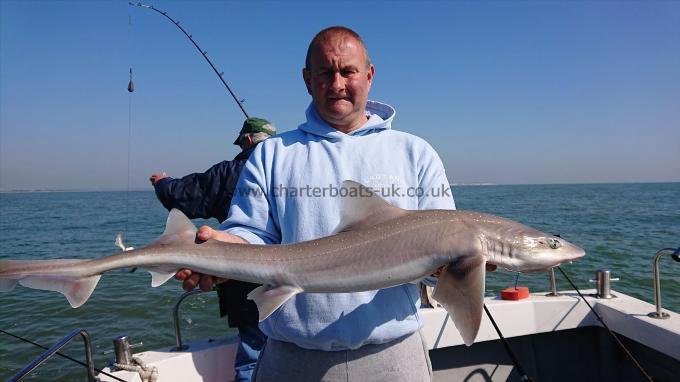 15 lb 6 oz Smooth-hound (Common) by Jason Parrott