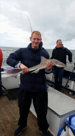 7 lb Smooth-hound by Unknown