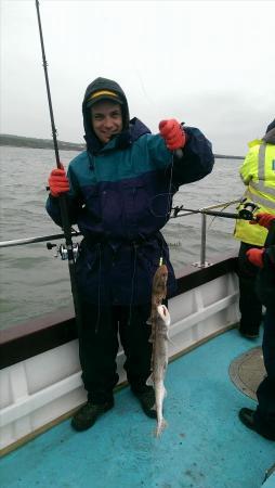 2 lb Lesser Spotted Dogfish by Unknown
