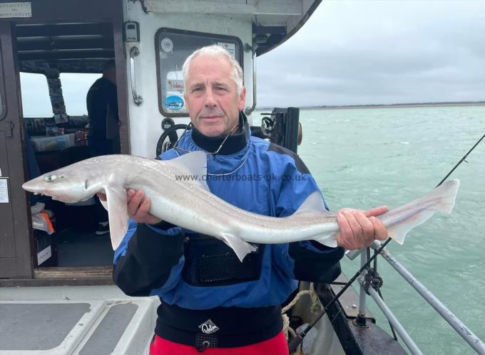 7 lb Smooth-hound by Unknown