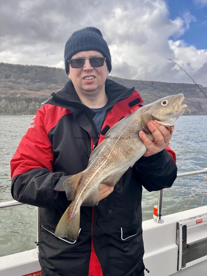 4 lb 8 oz Cod by Adrian Paslarau