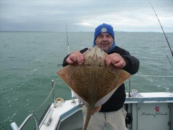 8 lb Undulate Ray by Conn