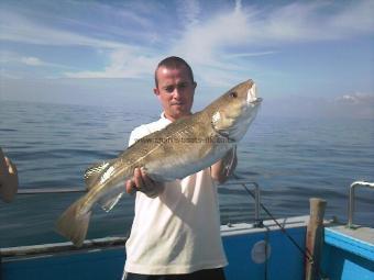 13 lb Cod by Unknown