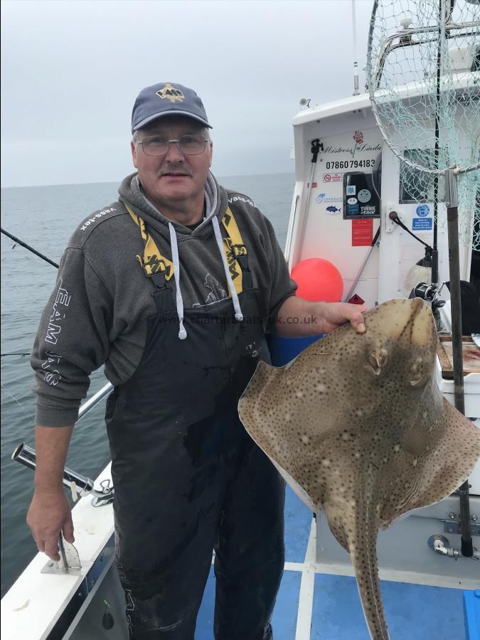14 lb Blonde Ray by Phil
