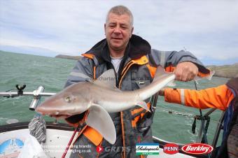 9 lb Starry Smooth-hound by Mike