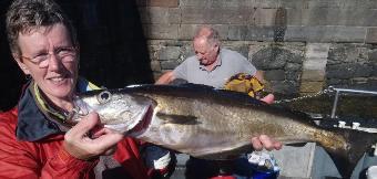 6 lb 8 oz Pollock by sharon