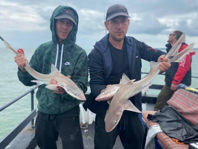 5 lb Smooth-hound by Unknown