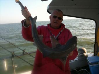 14 lb 3 oz Smooth-hound (Common) by The Skipper can catch too!!