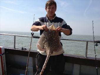 7 lb Thornback Ray by Christian