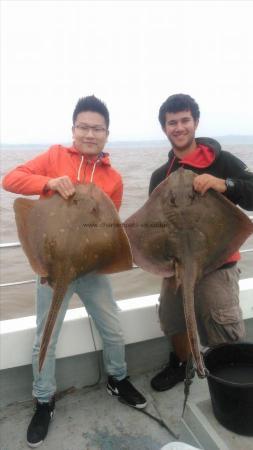 18 lb Blonde Ray by ruifan