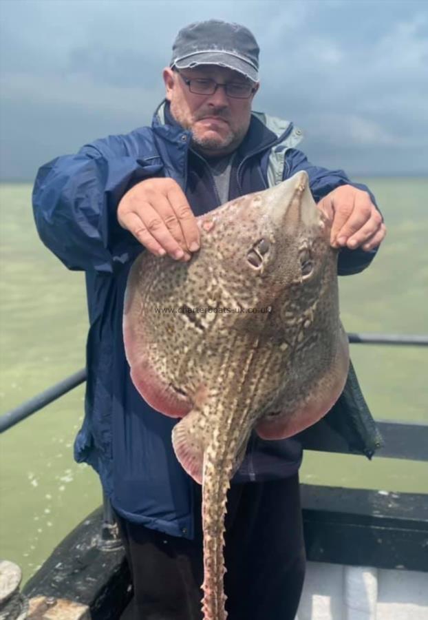 8 lb Thornback Ray by Unknown