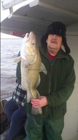 10 lb Cod by ken towzer