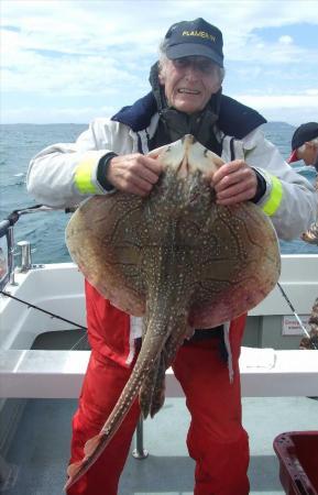 11 lb Undulate Ray by Bill Walton