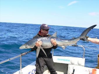 90 lb Blue Shark by Des Kendall